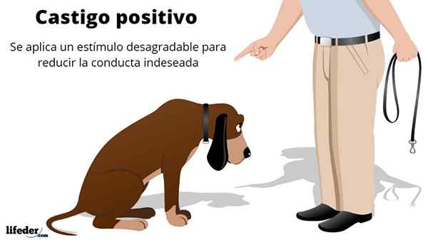 Características e exemplos de punição positiva