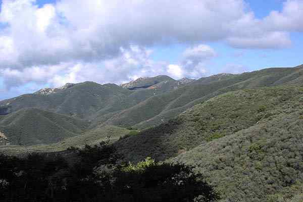 Características de Chaparral, Flora, Fauna, Clima, Exemplos