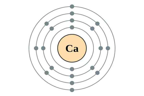 Caractéristiques du cycle du calcium, étapes et importance