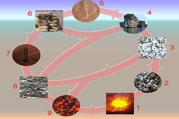 Caratteristiche, fasi ed esempi di cicli sedimentari