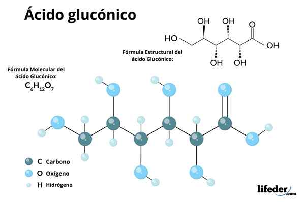 Štruktúra kyseliny glukónovej, vlastnosti, syntéza, používa