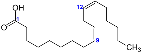 Onverzadigde vetzurenkenmerken, structuur, functies, voorbeelden