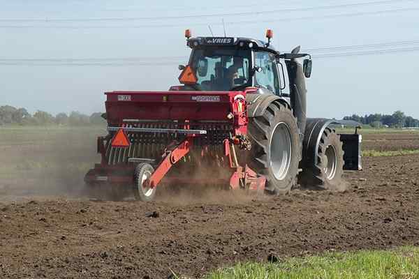 Bomulls produktive kretsstadier av prosessen