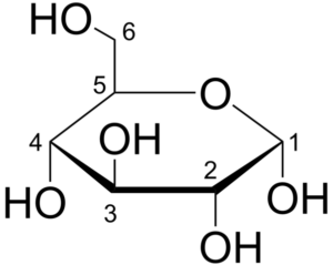 Hiilihydraattien luokittelu (kuvilla)