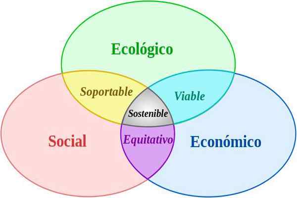 Consommation durable pour ce qui est l'utilisation, l'importance, les actions, les exemples