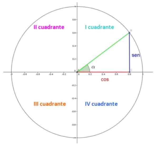 Unitary Circle Trigonometriske funksjoner og applikasjoner