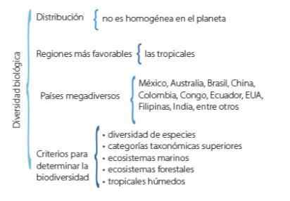 Usos da tabela sinóptica, características, elaboração, tipos