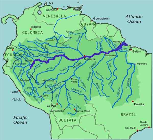 Caractéristiques du bassin hydrologique, types, flore, faune, exemples