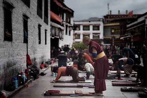 Tibetansko ozdravitev česna za uporabo, priprava in kontraindikacije