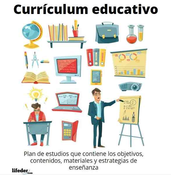 Scopo del curriculum educativo, tipi di curriculum educativo, struttura