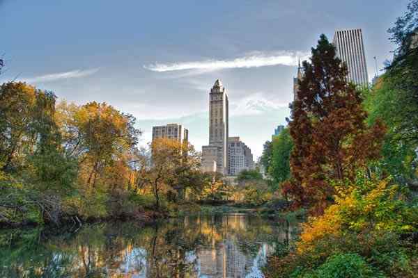 Caratteristiche ecosistemiche urbane, componenti, flora e fauna