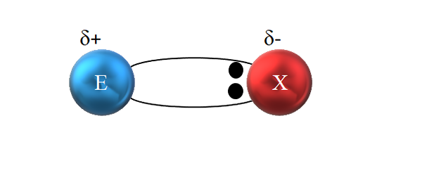 Polar Covalent Link -ominaisuudet ja esimerkit