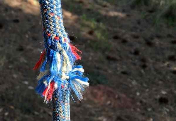 Esforço de tensão, cálculo, exercícios de fórmula e equações de fórmula e equações