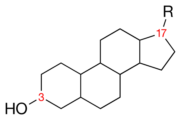 Structure des estéroles, fonctions et exemples