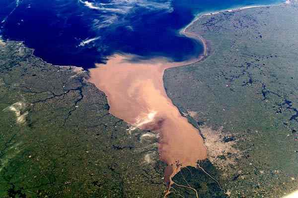 Caractéristiques, emplacement, flore, faune, climat, exemples