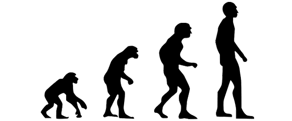 Evolutionism Origin, Darwin, Social, Linear en Cultural Evolutionism