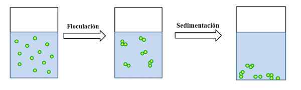 Floculation de réaction, types, applications, exemples