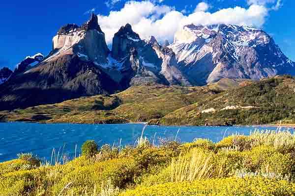 Flora i fauna Chile bardziej reprezentatywne gatunki