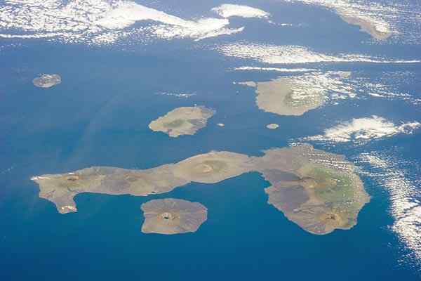 Flora dan fauna dari spesies utama Kepulauan Galapagos