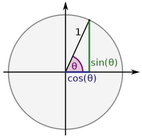 Fungsi trigonometri asas, dalam pesawat Cartesian, contoh, senaman