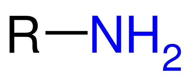 Amino Group (NH2) struktur, egenskaper, exempel