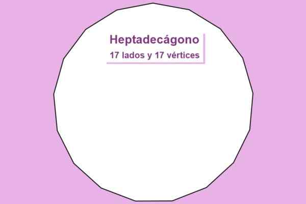 Heptadecágono -egenskaper, diagonaler, omkrets, område