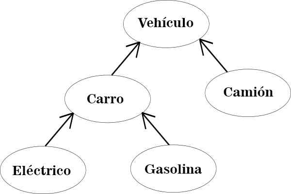 Programmazione di caratteristiche ereditarie, tipi, esempi