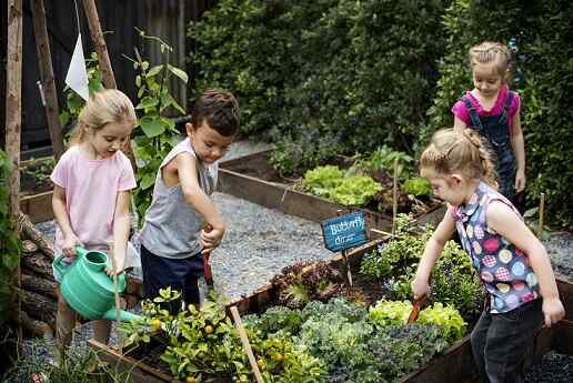 Caractéristiques, objectifs, types et avantages du jardin scolaire