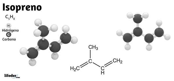 Isoprenostruktur, Eigenschaften, Anwendungen