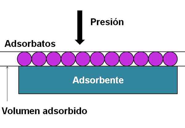 Adsorptionsisothermen Konzept, Typen, Beispiele