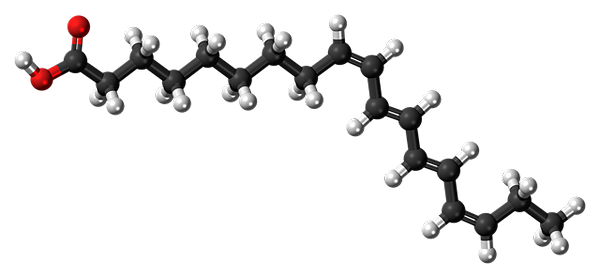 Saponifierbare Lipide Eigenschaften, Struktur, Funktionen, Beispiele