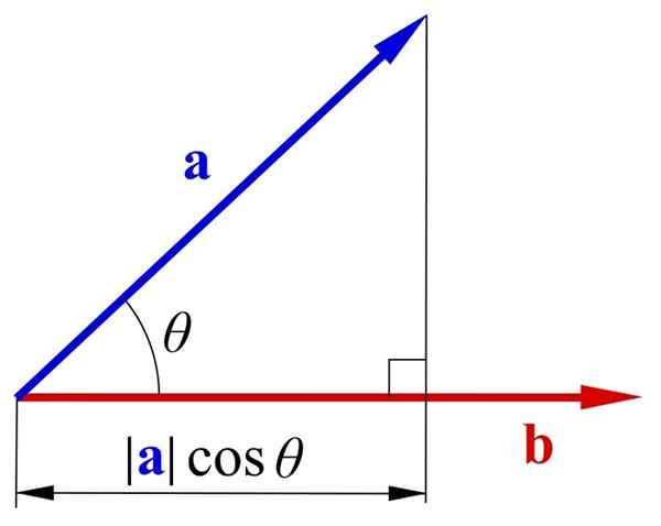 Magnitudo per scalare ciò che consiste, caratteristiche ed esempi