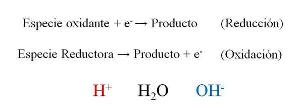 Passaggi del metodo di bilanciamento redox, esempi, esercizi