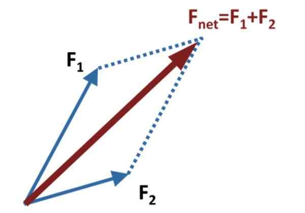 Contoh kaedah parallelogram, latihan yang diselesaikan