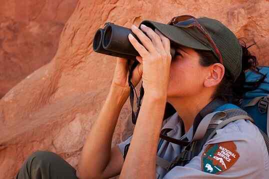 Caractéristiques d'observation directes, types et exemple