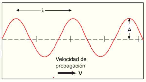 Formules d'ondes stationnaires, caractéristiques, types, exemples