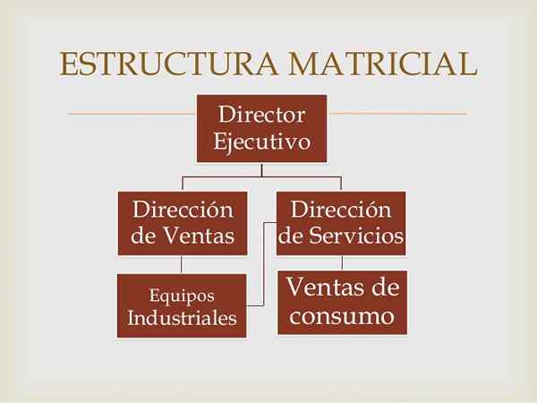 Caratteristiche ed esempi dell'organizzazione Matrix