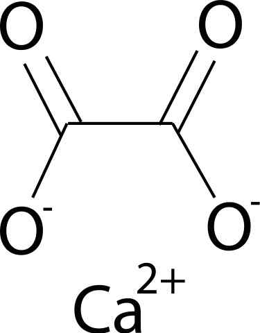 Kalsium oxalate (CAC2O4) sifat, struktur, kegunaan, risiko