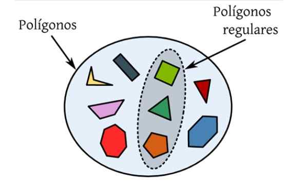 Vanlige polygonsegenskaper, elementer, vinkler, eksempler