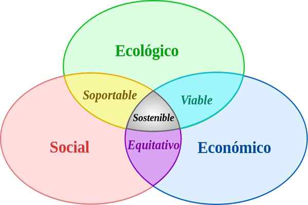 Ecoefficiency Merkmale und Beispiele Prozesse