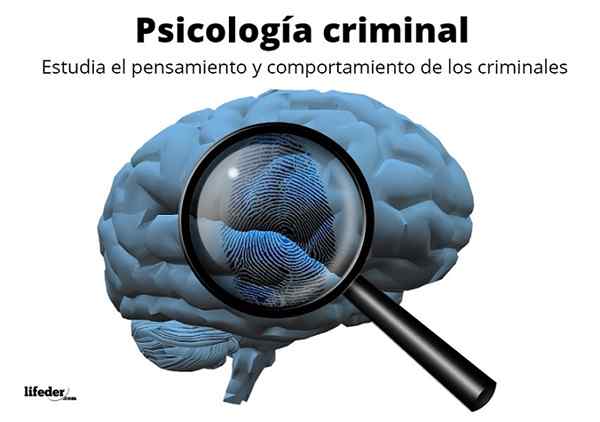 Criminele psychologiegeschiedenis, welke studies, technieken, auteurs