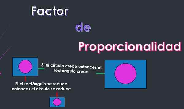 Apa faktor proporsionalitas? (Latihan terpecahkan)