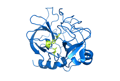 Chimotripsin -Eigenschaften, Struktur, Funktionen, Wirkungsmechanismus