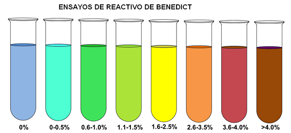 Reactif de Benedict pour ce qui est l'utilisation, les composants, la préparation