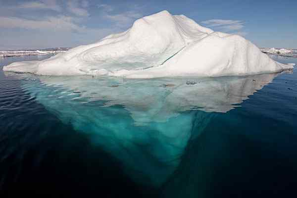 Ciri -ciri Kawasan Polar, Lokasi, Cuaca, Flora, Fauna, Pelepasan