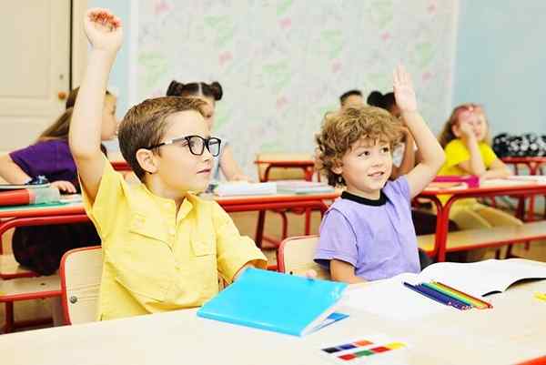 Schoolreguleringskenmerken, voorbeelden, waarvoor is het