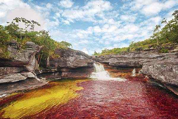 Río Caño Cristales Kelahiran, Lawatan, Ciri