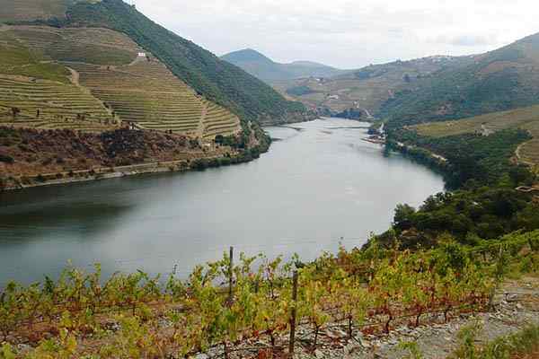 Río Duero Birth, Tour, Mouth, zijrivieren