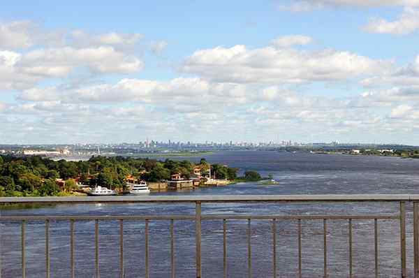 Paraguay River -egenskaper, fødsel, turné, flora, fauna