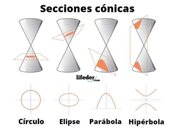 Types de sections coniques, applications, exemples